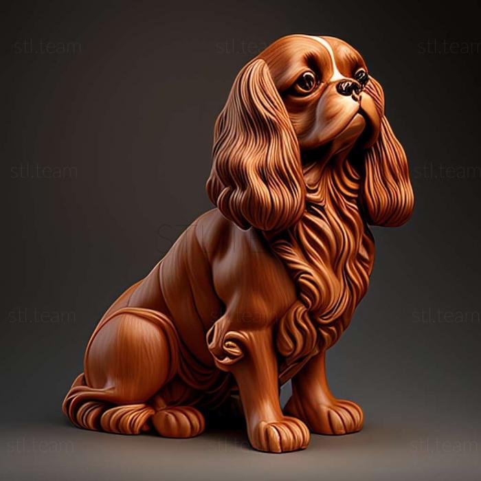 3D модель Собака породи кавалер кінг чарльз спаніель (STL)